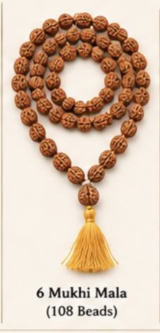6 Mukhi Rudraksh Siddha Mala